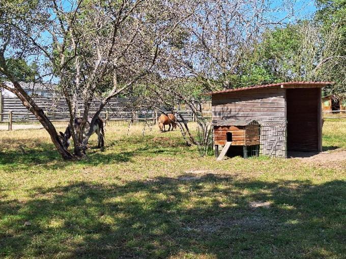 Mobil-home 6 Personnes 3 Campsite